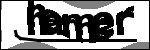 متن برای شناسایی